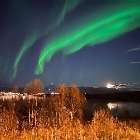 Вілла Aurora North Тромсе Екстер'єр фото
