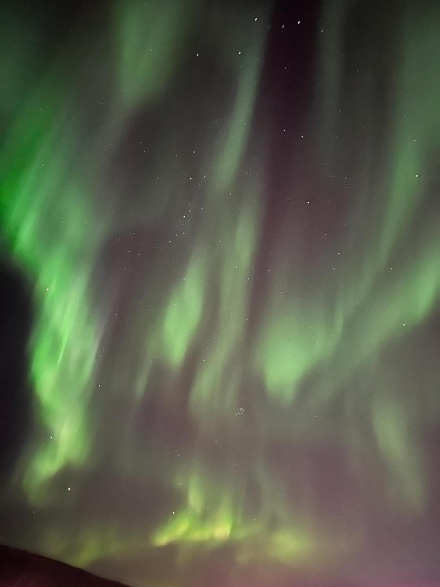 Вілла Aurora North Тромсе Екстер'єр фото